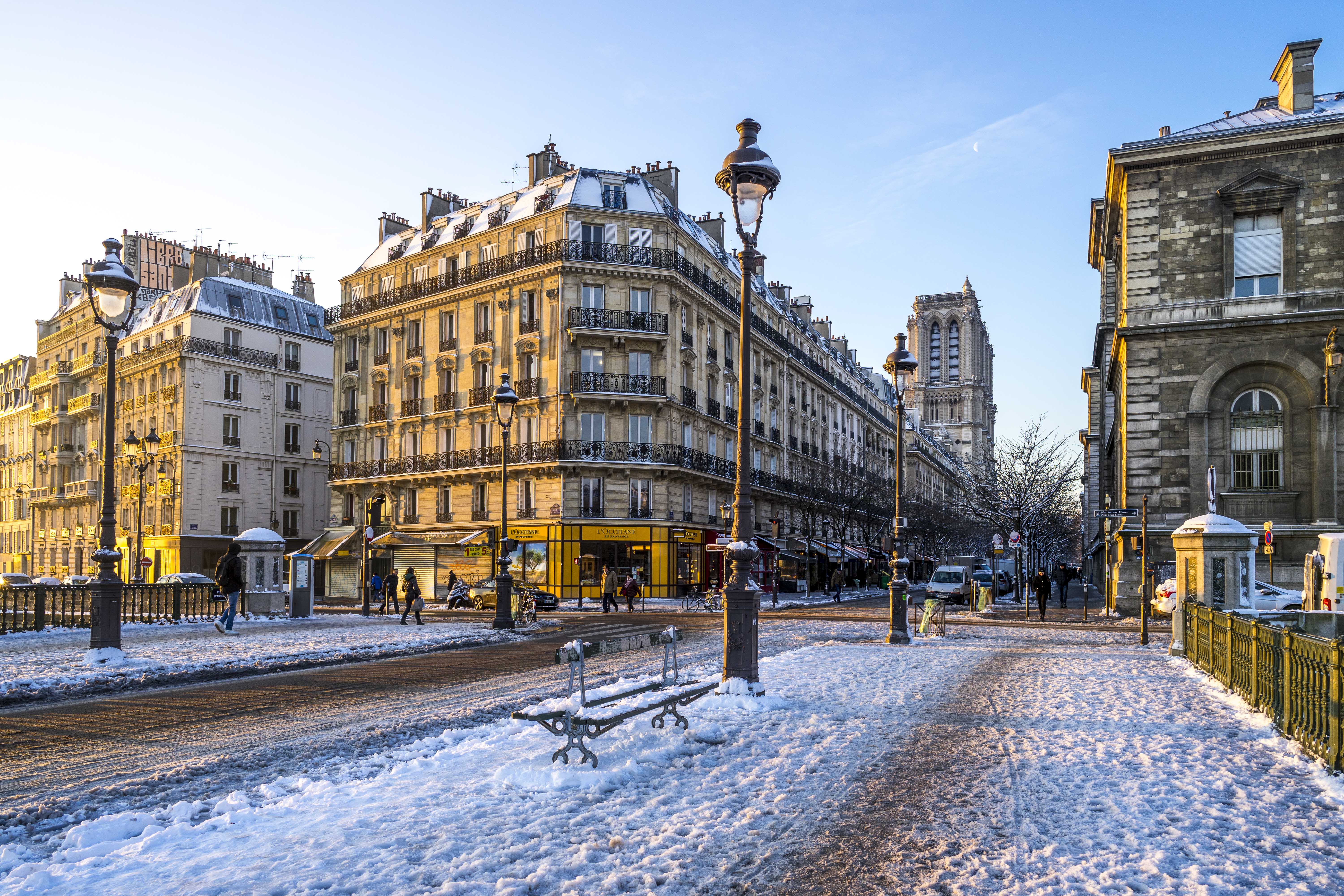 Paris, France - Notre-Dame de Paris under the snow